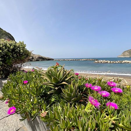 Casa Francesco Seaside Apartment Sant'Angelo  Bagian luar foto