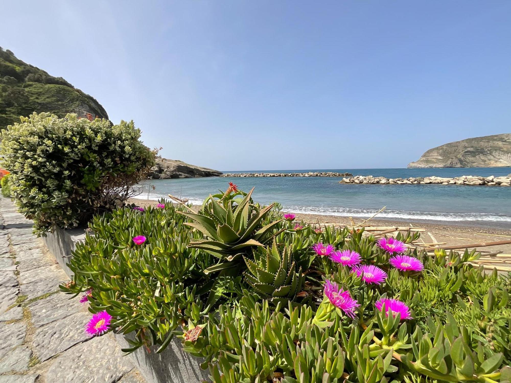 Casa Francesco Seaside Apartment Sant'Angelo  Bagian luar foto